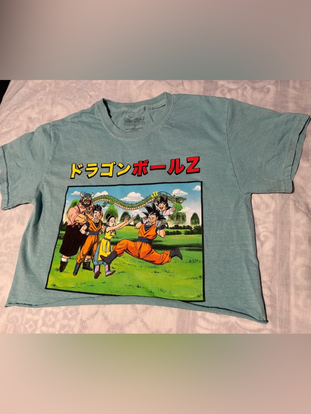 Dragon Ball Z Women’s Cropped Graphic Tee - Light Teal